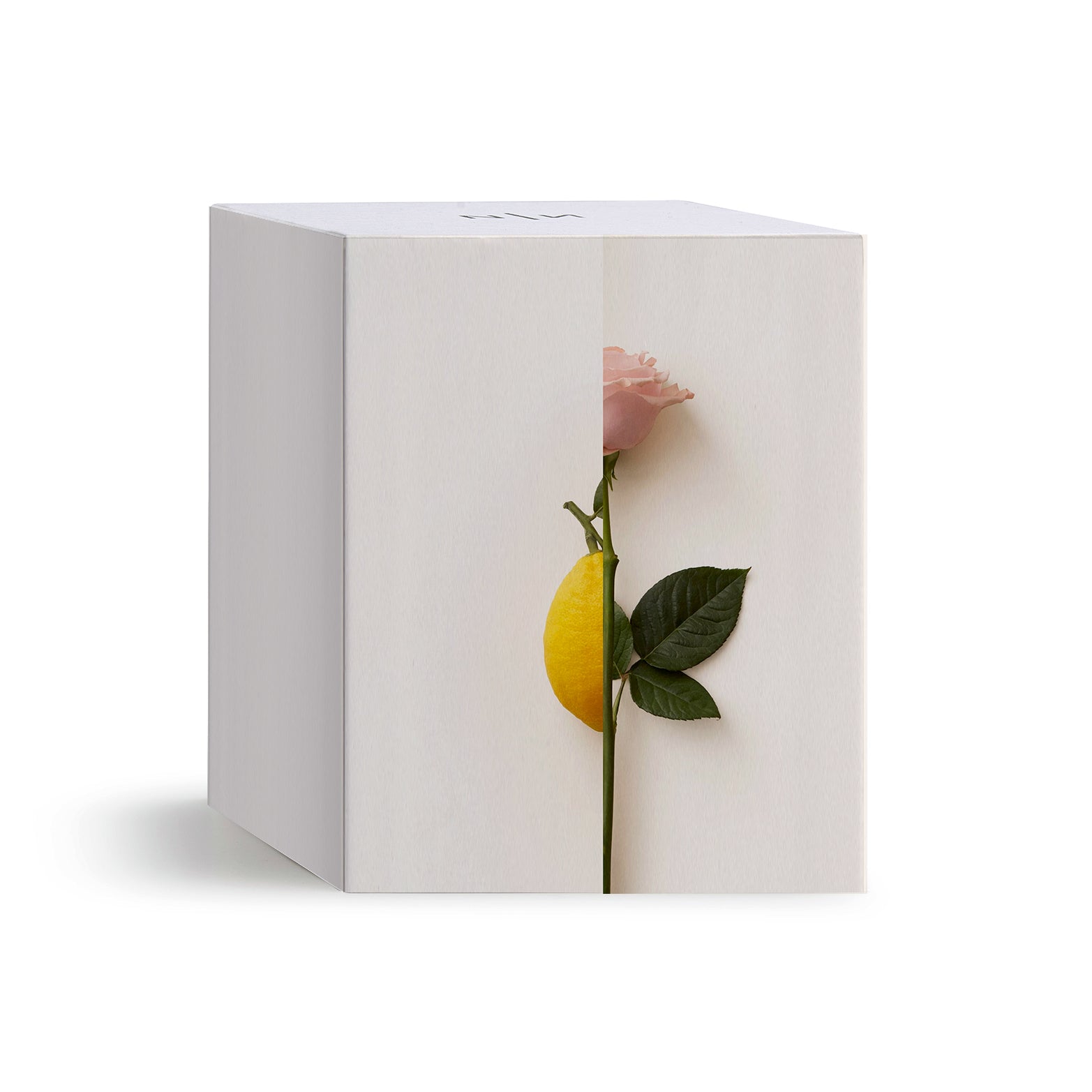 New Notes - ROSA LIMONE